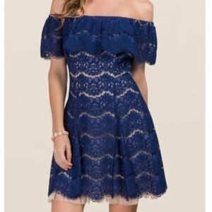 Francesca's Collections Navy Blue Lace Dress